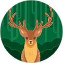 Noah D. profile picture